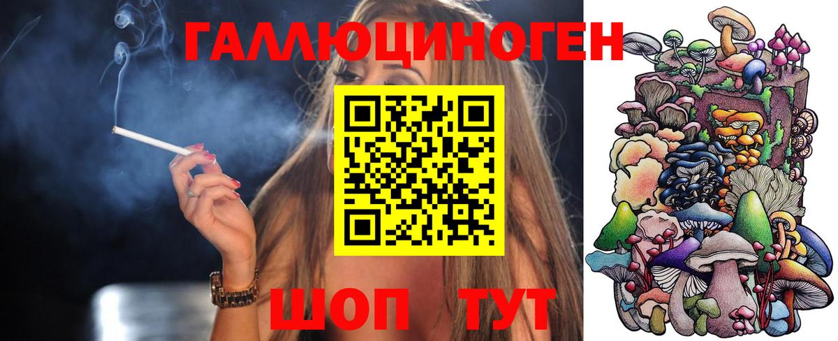 Псилоцибиновые грибы Psilocybe Южноуральск