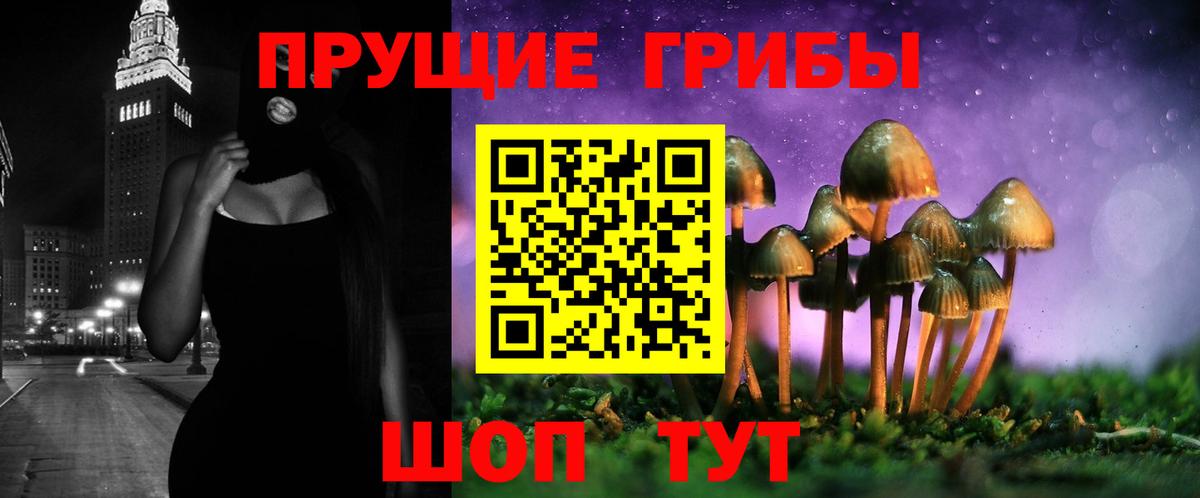 Галлюциногенные грибы Psilocybe  Вход с VPN  Южноуральск  Псилоцибиновые грибы прущие грибы 